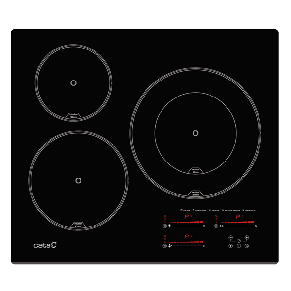PLACA CATA – INSB 6028 BK