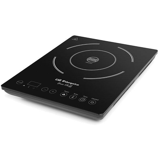 PLACA INDUÇÃO ORBEGOZO – PIC2000