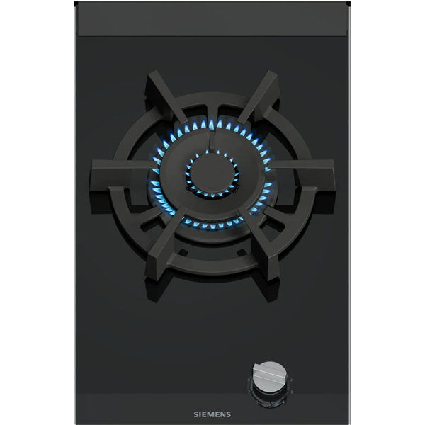 PLACA SIEMENS – ER3A6AI10